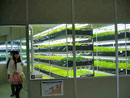京山ソーラーグリーンパーク植物工場